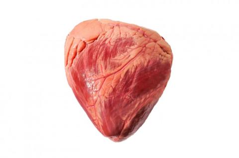 Frozen Beef Hearts Frozen Beef Hearts
