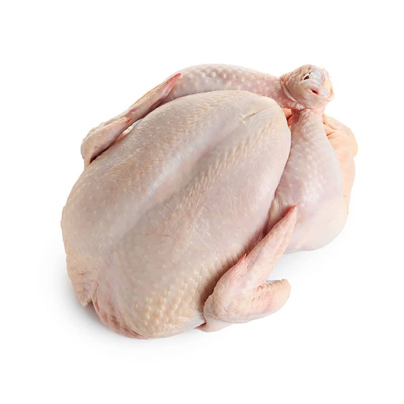 wholesale frozen chicken
