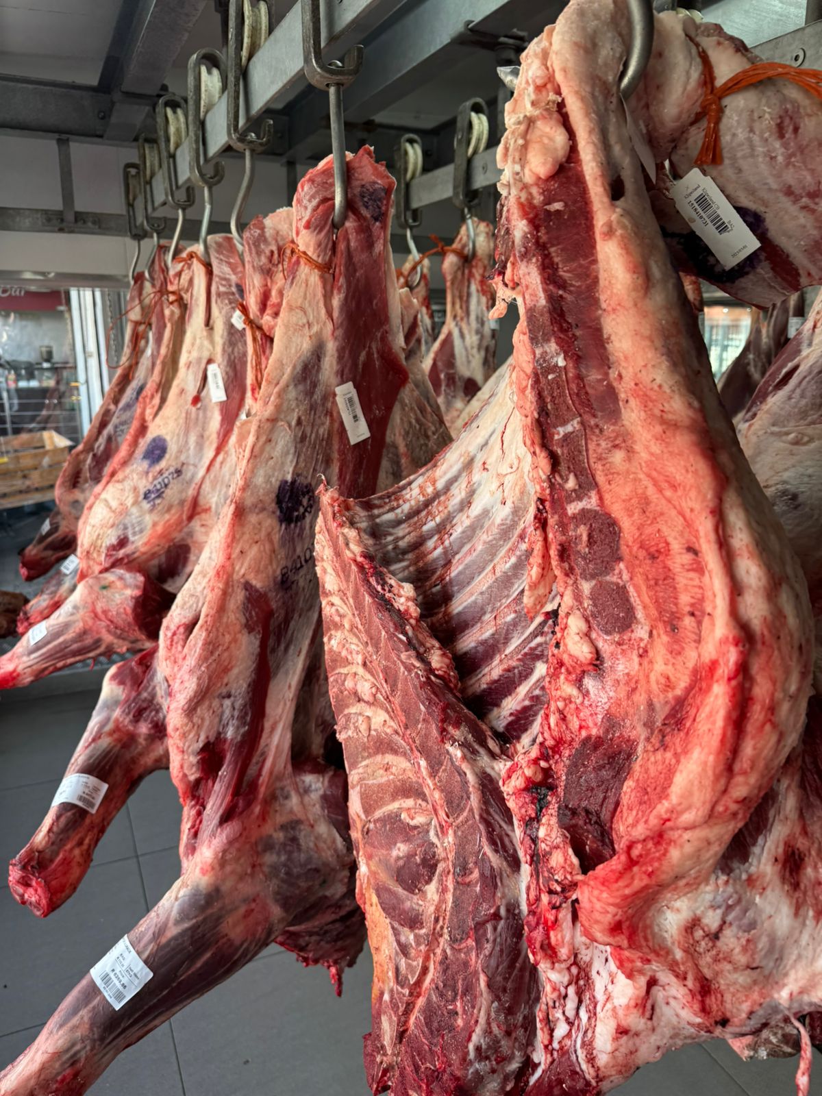 Premium Wholesale Frozen Beef Carcass Premium Wholesale Frozen Beef Carcass