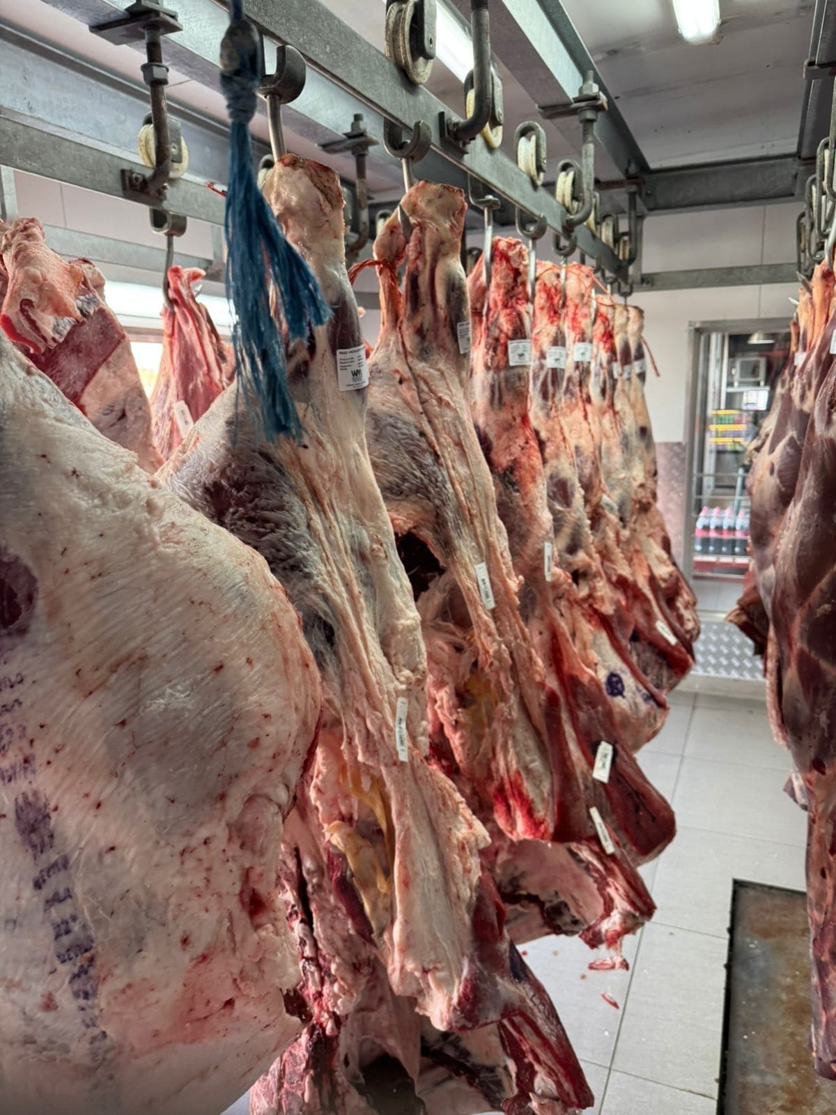 Wholesale Frozen Beef Carcass – Bulk Supplier