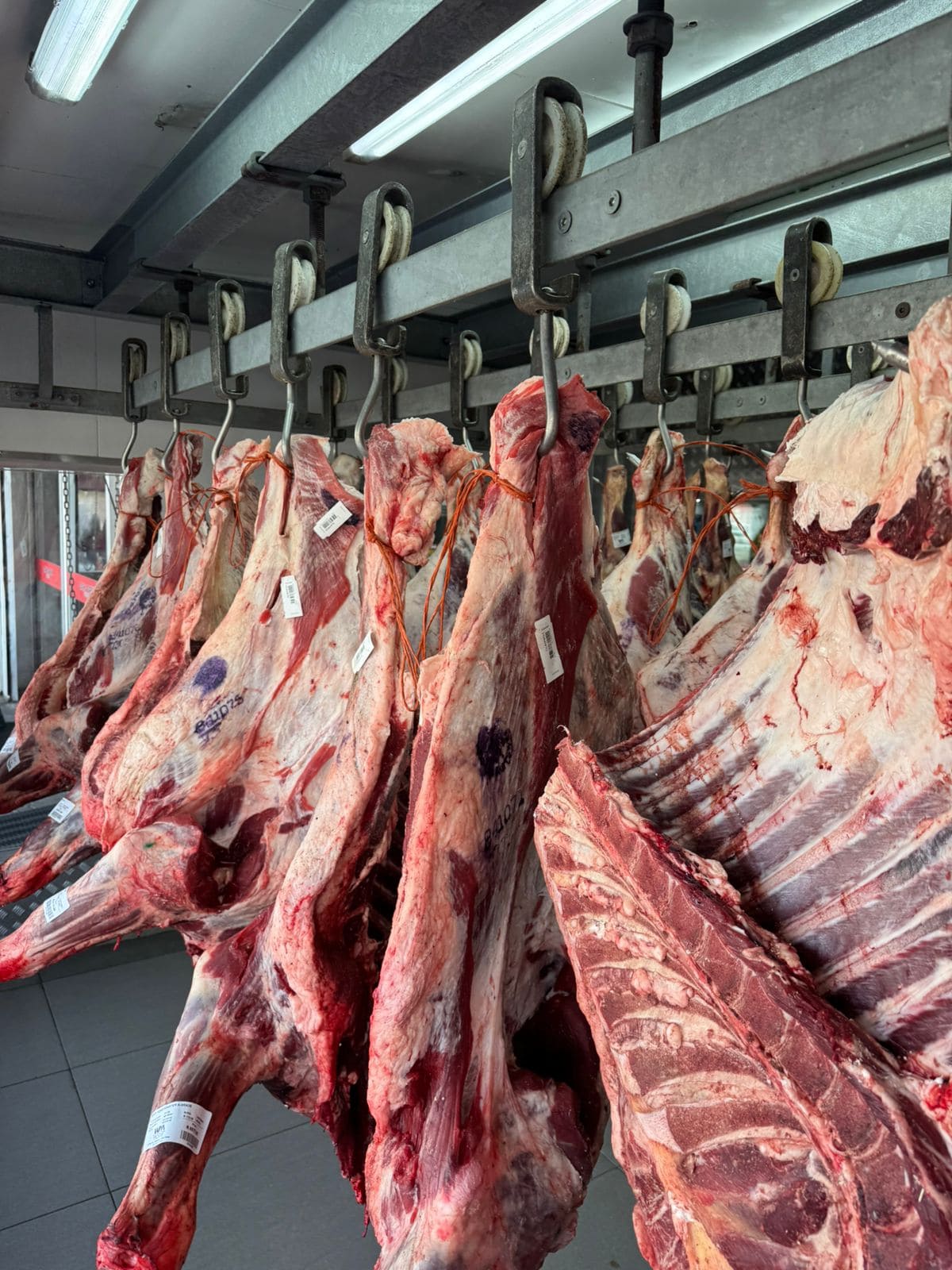 Wholesale frozen Beef Wholesale frozen Beef cut