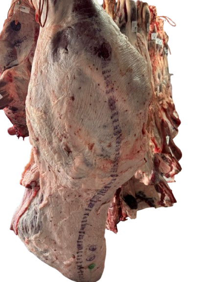 Wholesale frozen Beef cut 