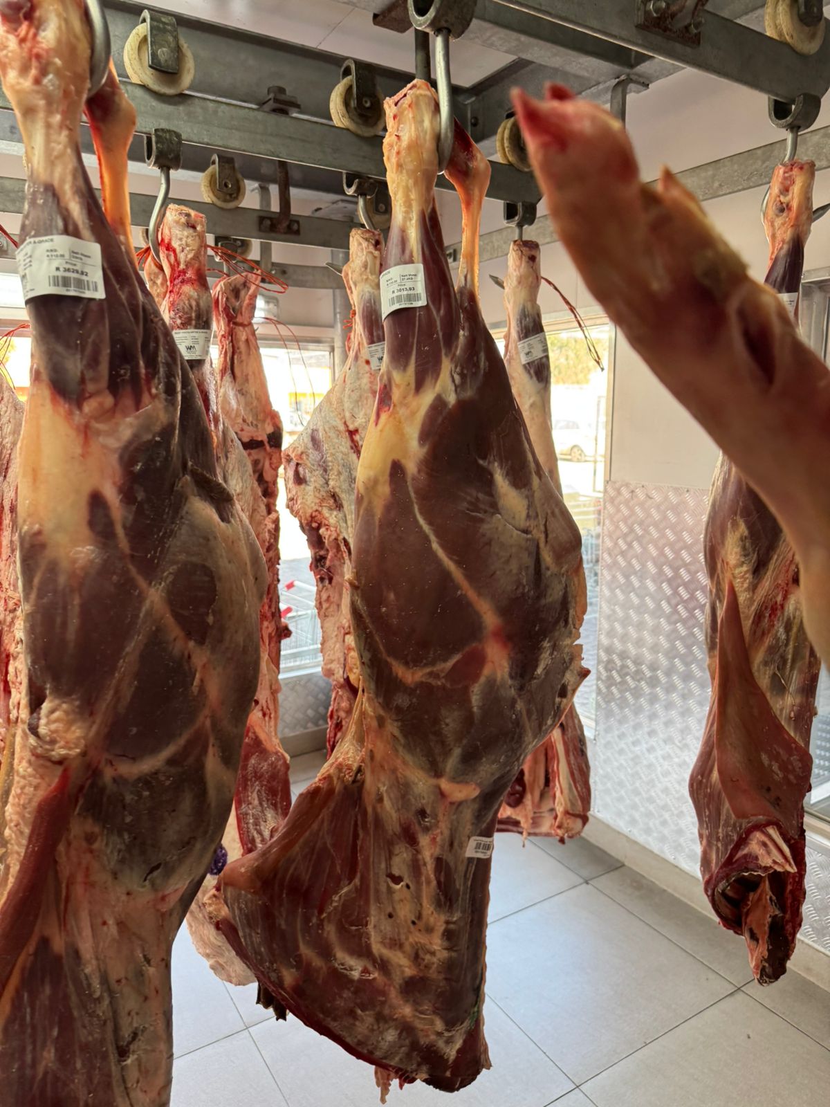 wholesale frozen beef meat
