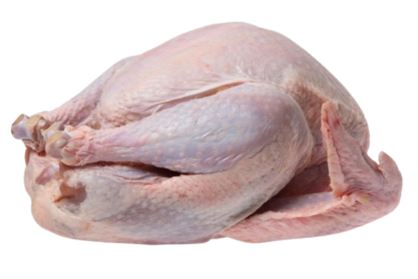 Buy Whole Turkey