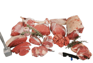 Wholesale Beef Hind Quarter