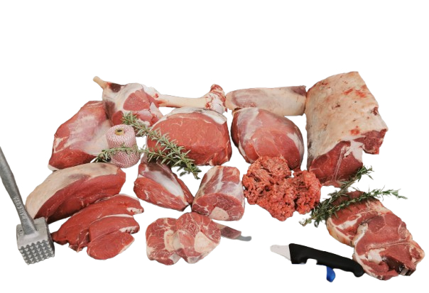 Wholesale Beef Hind Quarter