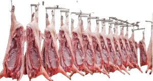 Wholesale Frozen Pork Hearts
