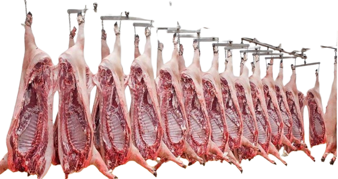 Wholesale Frozen Pork Hearts