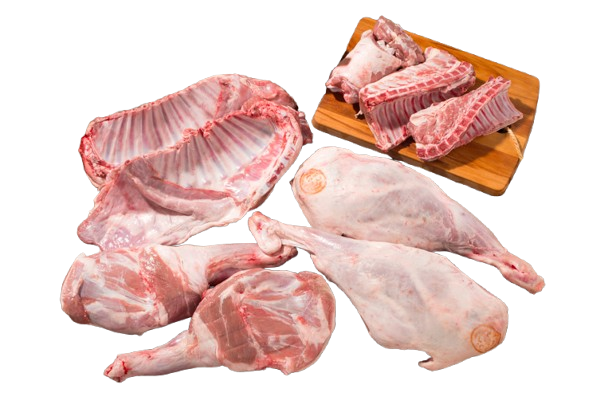 Wholesale Halal Lamb Front Chops