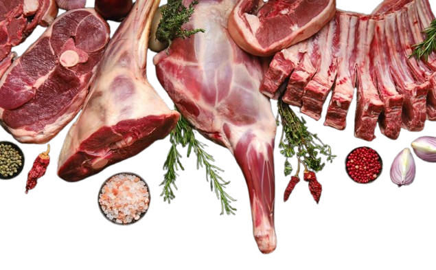 Wholesale Halal Lamb Leg Steak On Bone