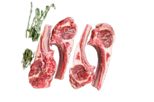 Wholesale Halal Lamb Shanks